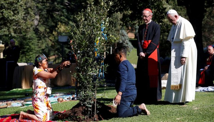 20191004t0804-578-cns-pope-tree-assisi-1024x585-1-1